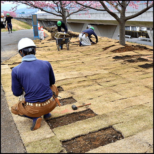 芝張りのイメージ